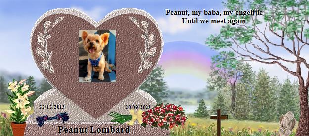 Peanut Lombard's Rainbow Bridge Pet Loss Memorial Residency Image