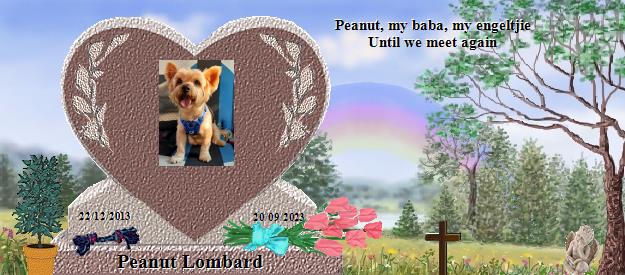 Peanut Lombard's Rainbow Bridge Pet Loss Memorial Residency Image