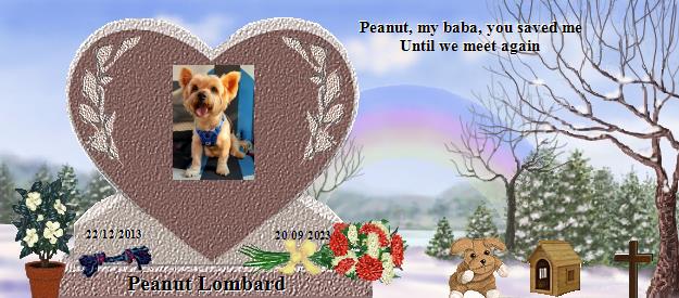 Peanut Lombard's Rainbow Bridge Pet Loss Memorial Residency Image