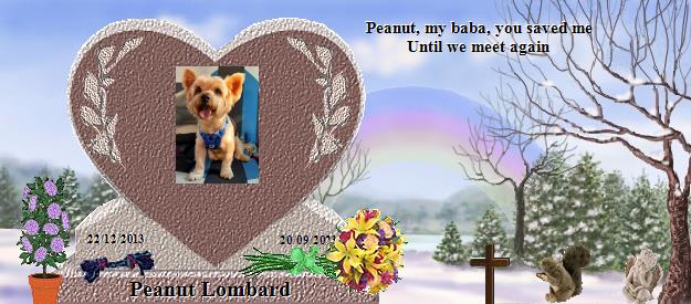 Peanut Lombard's Rainbow Bridge Pet Loss Memorial Residency Image
