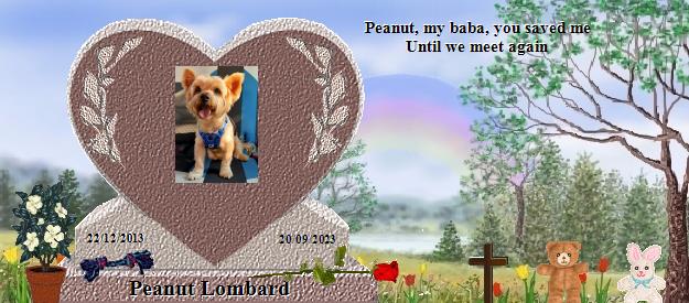 Peanut Lombard's Rainbow Bridge Pet Loss Memorial Residency Image