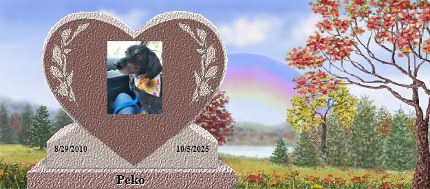 Peko's Rainbow Bridge Pet Loss Memorial Residency Image