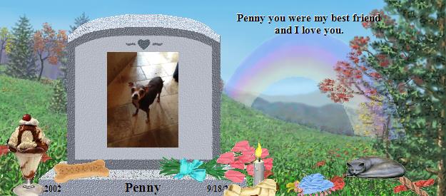 Penny's Rainbow Bridge Pet Loss Memorial Residency Image