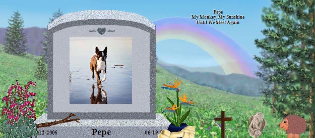 Pepe's Rainbow Bridge Pet Loss Memorial Residency Image