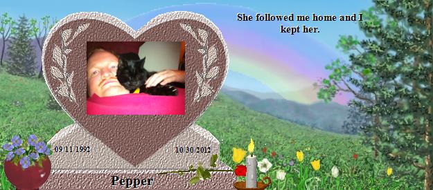Pepper's Rainbow Bridge Pet Loss Memorial Residency Image