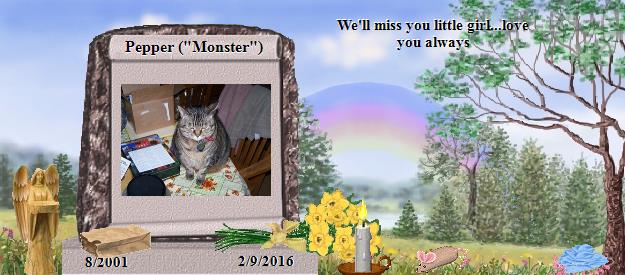 Pepper ("Monster")'s Rainbow Bridge Pet Loss Memorial Residency Image