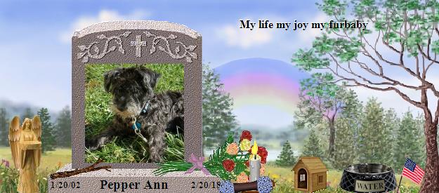Pepper Ann's Rainbow Bridge Pet Loss Memorial Residency Image
