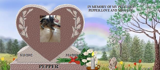 PEPPER's Rainbow Bridge Pet Loss Memorial Residency Image
