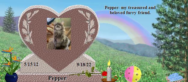 Pepper's Rainbow Bridge Pet Loss Memorial Residency Image