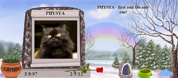 PHYSYA's Rainbow Bridge Pet Loss Memorial Residency Image