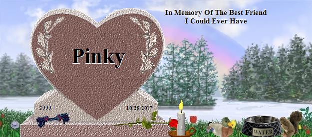 Pinky's Rainbow Bridge Pet Loss Memorial Residency Image