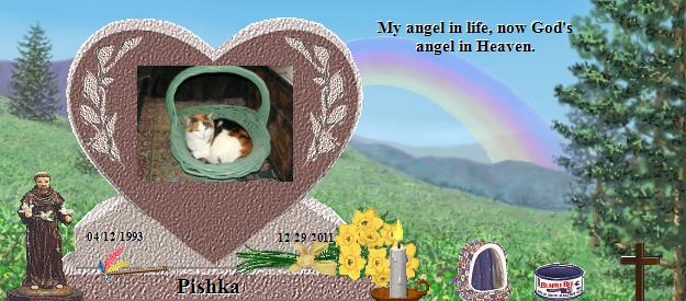 Pishka's Rainbow Bridge Pet Loss Memorial Residency Image