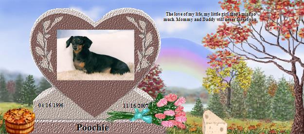 Poochie's Rainbow Bridge Pet Loss Memorial Residency Image