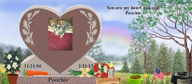 Poochie's Rainbow Bridge Pet Loss Memorial Residency Image