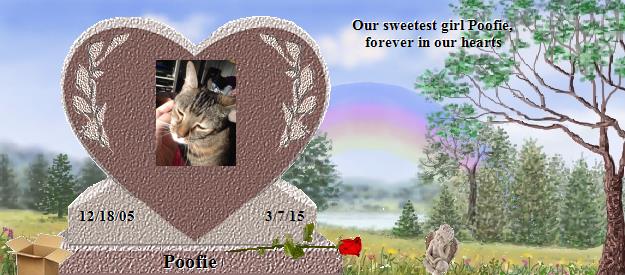 Poofie's Rainbow Bridge Pet Loss Memorial Residency Image