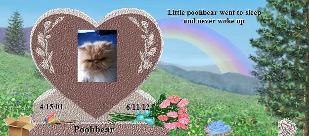 Poohbear's Rainbow Bridge Pet Loss Memorial Residency Image