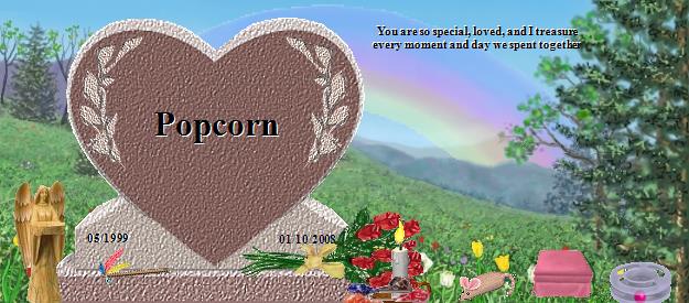 Popcorn's Rainbow Bridge Pet Loss Memorial Residency Image