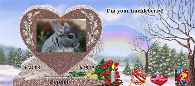 Poppet's Rainbow Bridge Pet Loss Memorial Residency Image