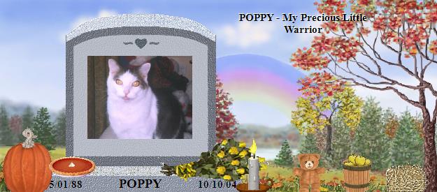 POPPY's Rainbow Bridge Pet Loss Memorial Residency Image