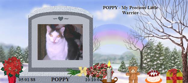 POPPY's Rainbow Bridge Pet Loss Memorial Residency Image