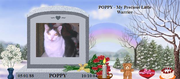 POPPY's Rainbow Bridge Pet Loss Memorial Residency Image