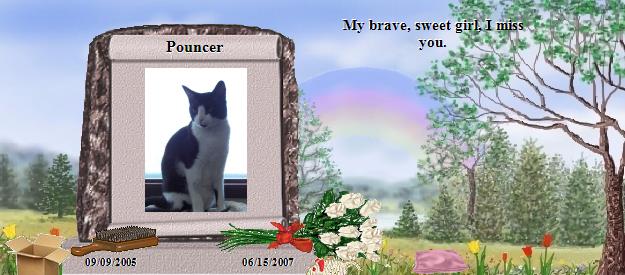 Pouncer's Rainbow Bridge Pet Loss Memorial Residency Image