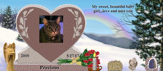 Precious's Rainbow Bridge Pet Loss Memorial Residency Image