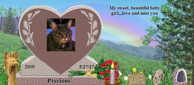Precious's Rainbow Bridge Pet Loss Memorial Residency Image