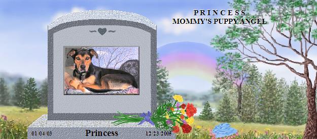 Princess's Rainbow Bridge Pet Loss Memorial Residency Image
