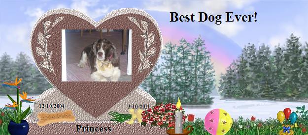 Princess's Rainbow Bridge Pet Loss Memorial Residency Image