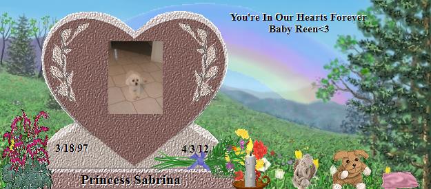 Princess Sabrina's Rainbow Bridge Pet Loss Memorial Residency Image