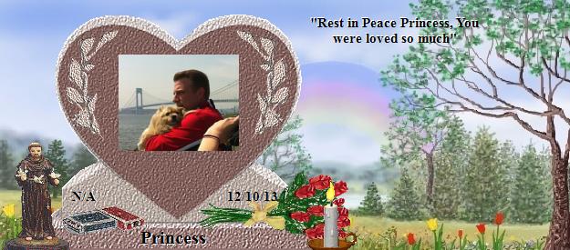 Princess's Rainbow Bridge Pet Loss Memorial Residency Image