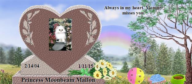 Princess Moonbeam Mallon's Rainbow Bridge Pet Loss Memorial Residency Image