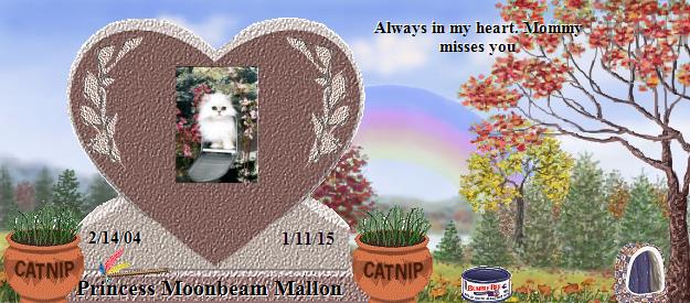 Princess Moonbeam Mallon's Rainbow Bridge Pet Loss Memorial Residency Image