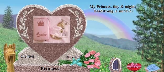 Princess's Rainbow Bridge Pet Loss Memorial Residency Image