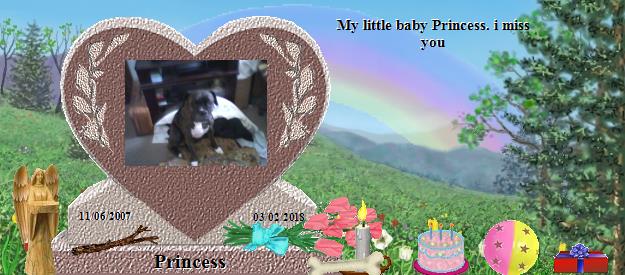 Princess's Rainbow Bridge Pet Loss Memorial Residency Image