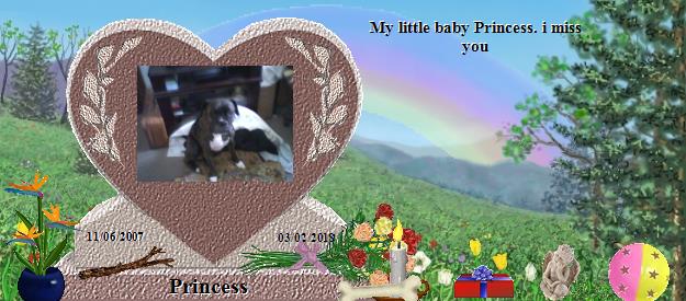 Princess's Rainbow Bridge Pet Loss Memorial Residency Image