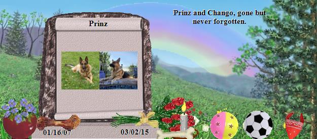 Prinz's Rainbow Bridge Pet Loss Memorial Residency Image