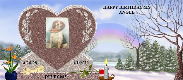 pryncess's Rainbow Bridge Pet Loss Memorial Residency Image