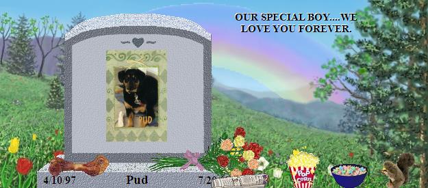 Pud's Rainbow Bridge Pet Loss Memorial Residency Image