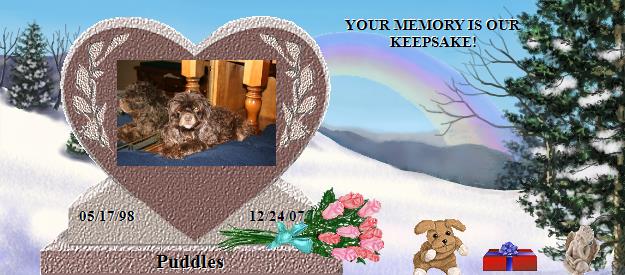 Puddles's Rainbow Bridge Pet Loss Memorial Residency Image