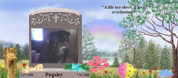Pugsley's Rainbow Bridge Pet Loss Memorial Residency Image