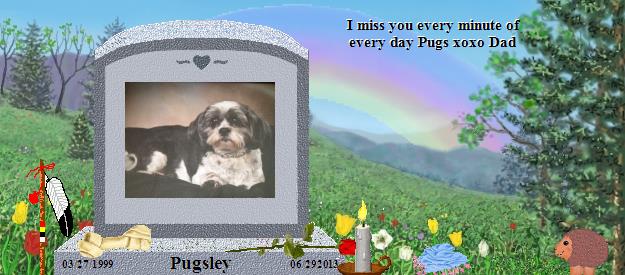 Pugsley's Rainbow Bridge Pet Loss Memorial Residency Image