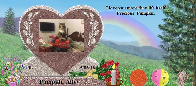Pumpkin Alley's Rainbow Bridge Pet Loss Memorial Residency Image