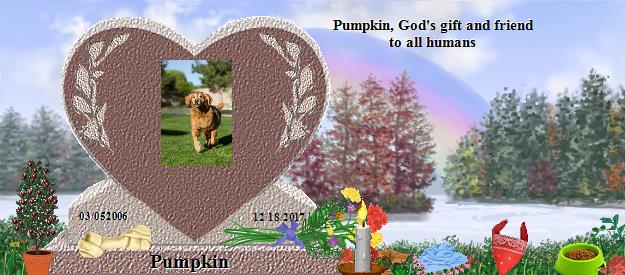 Pumpkin's Rainbow Bridge Pet Loss Memorial Residency Image