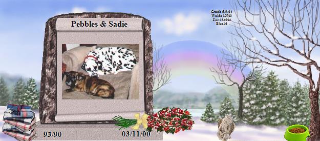 Pebbles & Sadie's Rainbow Bridge Pet Loss Memorial Residency Image