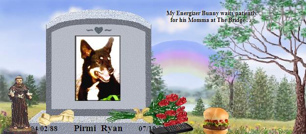 Pirmi  Ryan's Rainbow Bridge Pet Loss Memorial Residency Image