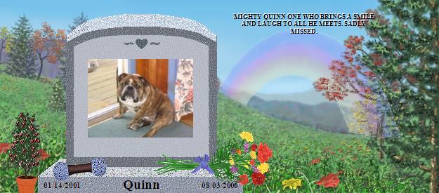 Quinn's Rainbow Bridge Pet Loss Memorial Residency Image