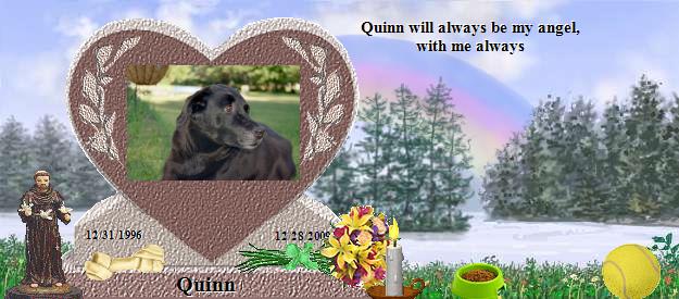 Quinn's Rainbow Bridge Pet Loss Memorial Residency Image