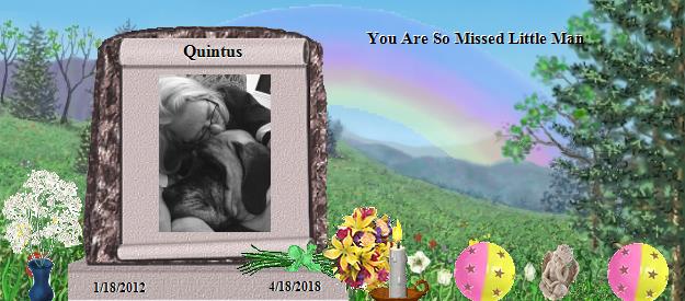 Quintus's Rainbow Bridge Pet Loss Memorial Residency Image